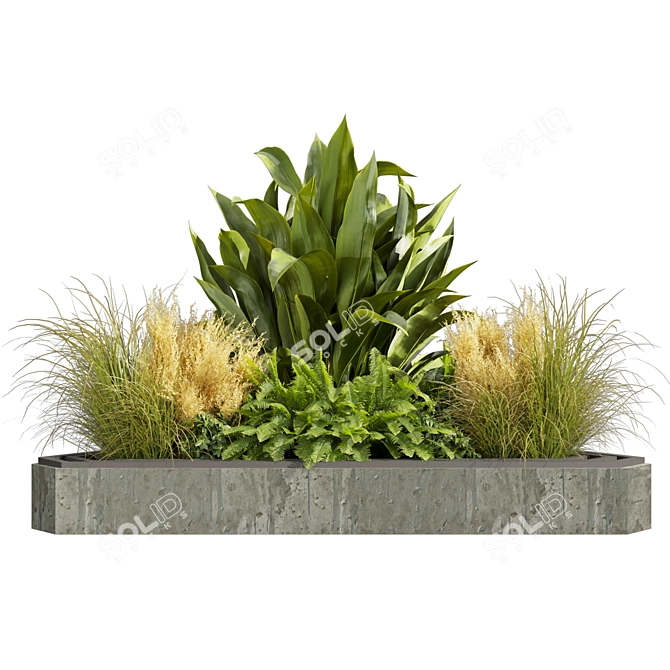 Volume 519 Garden Plant Collection 3D model image 2