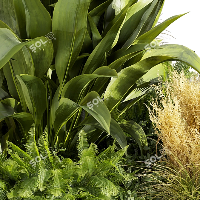 Volume 519 Garden Plant Collection 3D model image 5