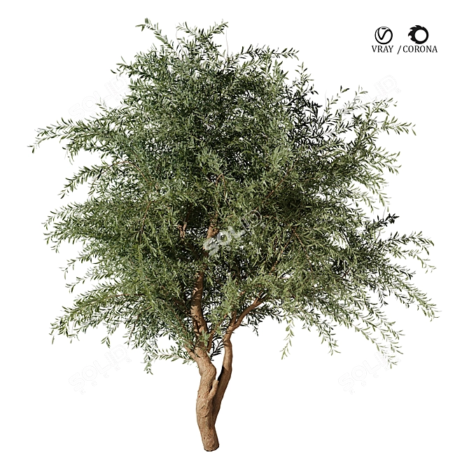 Tree Vol 12 3D Model 3D model image 1