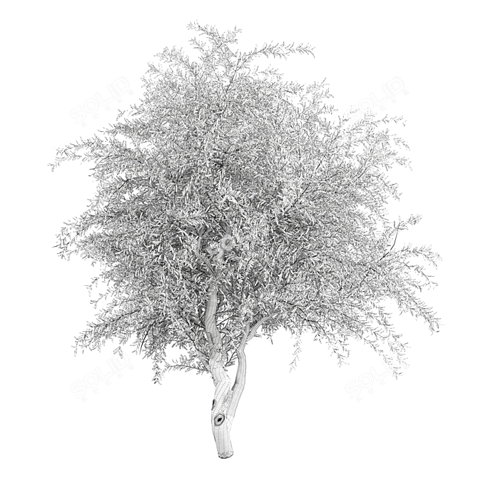 Tree Vol 12 3D Model 3D model image 3