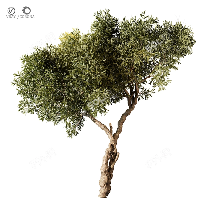 Tree Vol 11 3D Model 3D model image 1
