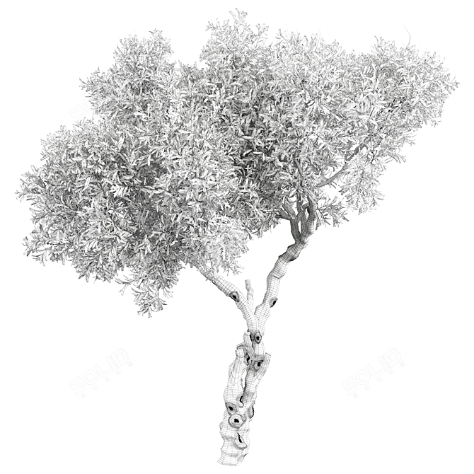 Tree Vol 11 3D Model 3D model image 3