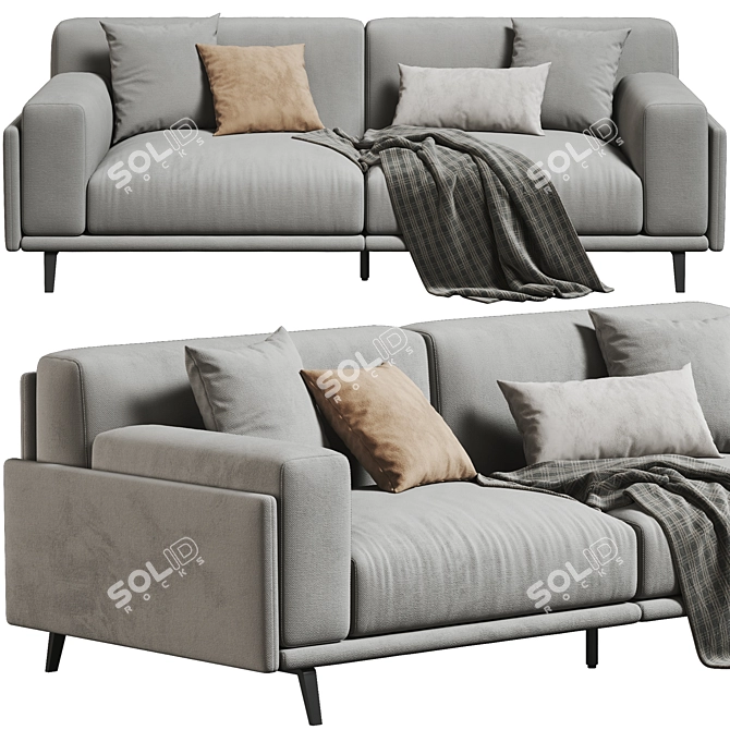 Stylish Arflex Frame Two-Seater Sofa 3D model image 2