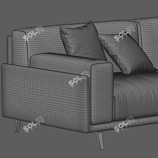 Stylish Arflex Frame Two-Seater Sofa 3D model image 3