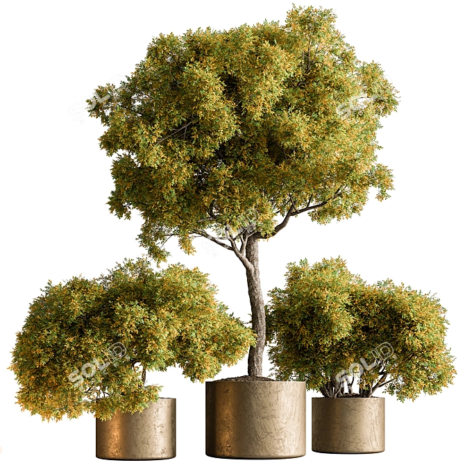 Botanical Bliss: Tree in Pot 3D model image 1