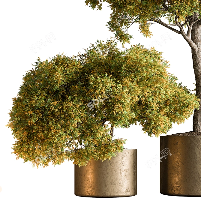 Botanical Bliss: Tree in Pot 3D model image 4