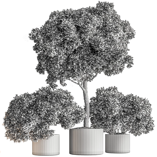 Botanical Bliss: Tree in Pot 3D model image 5