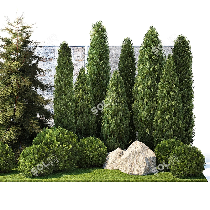 Landscape Design Plants Collection 3D model image 6