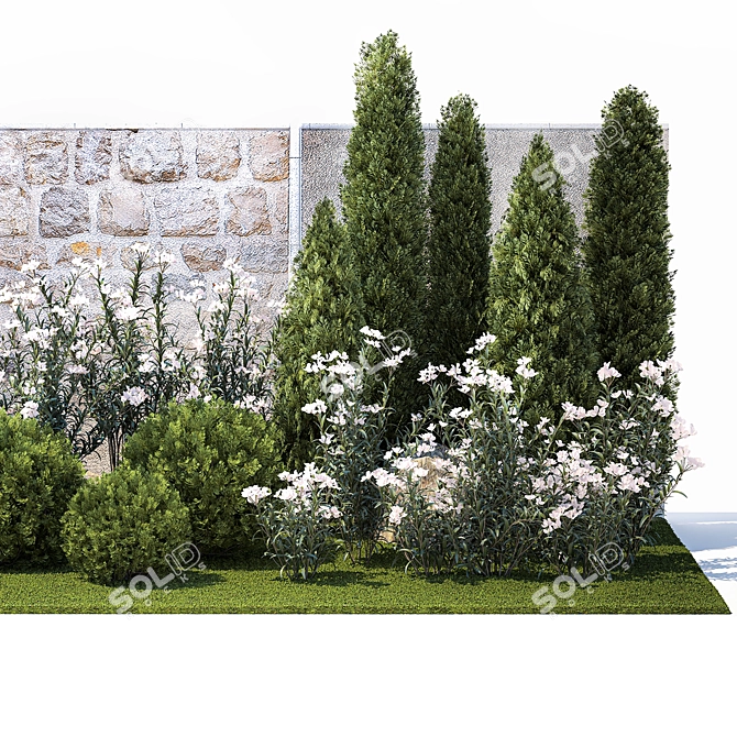 White Flowering Plants Collection 3D model image 6