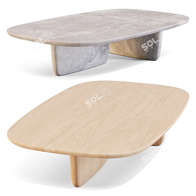 Zen-Inspired Tobi-Ishi Coffee Table 3D model image 2