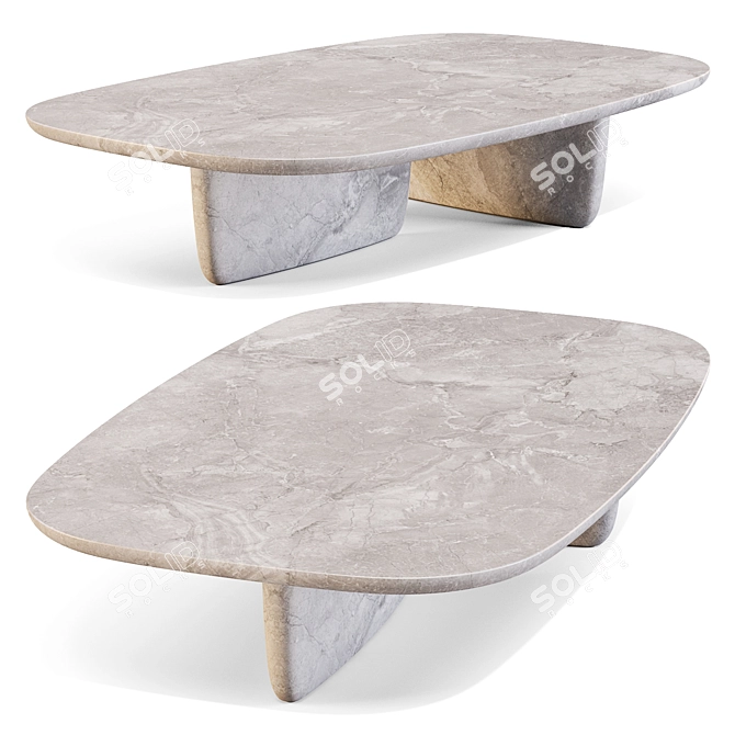 Zen-Inspired Tobi-Ishi Coffee Table 3D model image 4