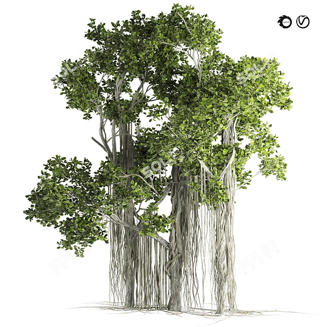 Ficus Bonsai 3D Model Kit 3D model image 1