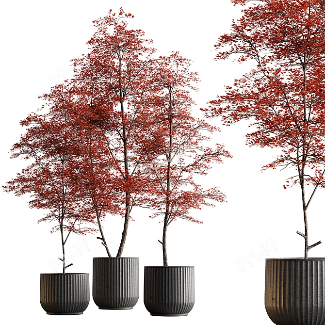 Lush Tree in Ceramic Pot 3D model image 1