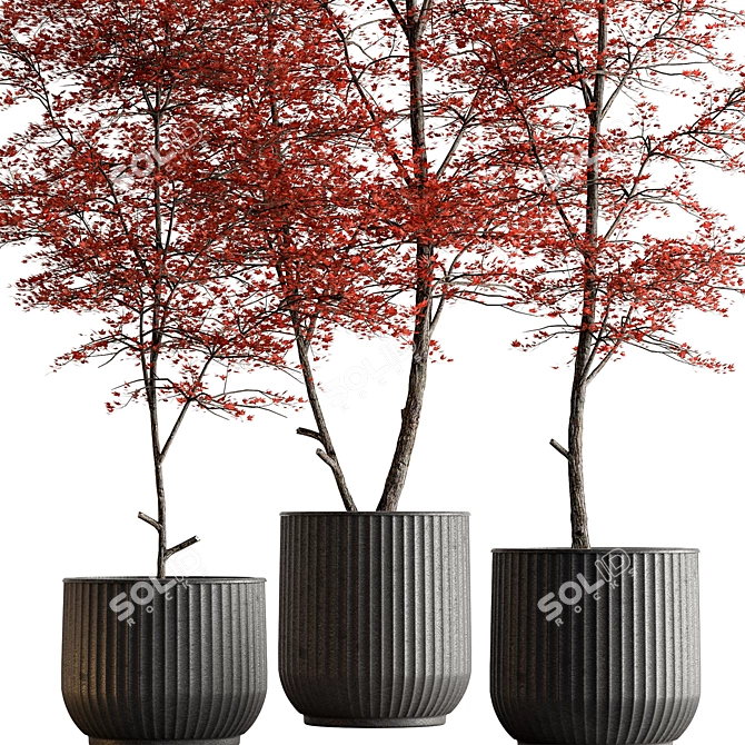 Lush Tree in Ceramic Pot 3D model image 3