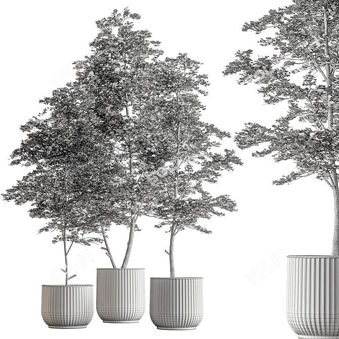 Lush Tree in Ceramic Pot 3D model image 4