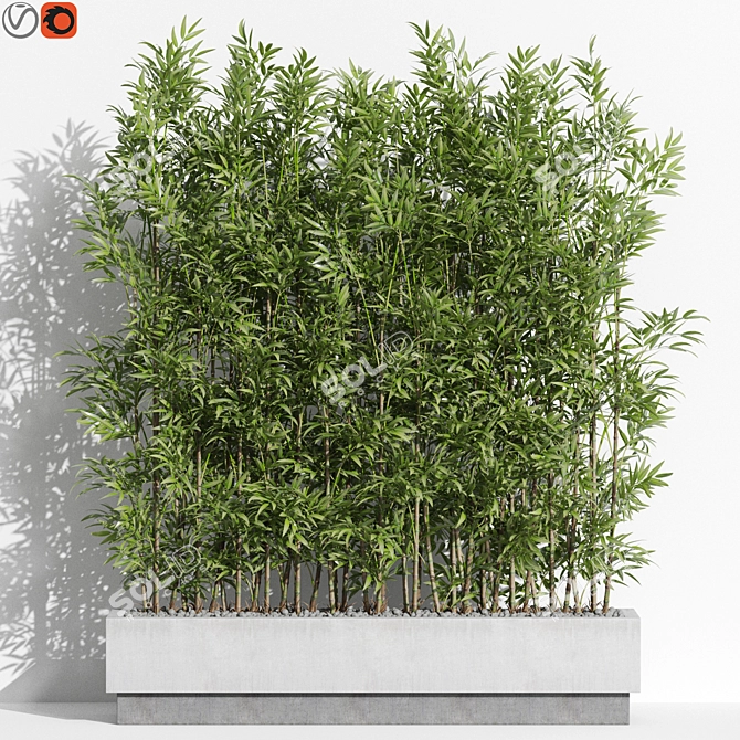 999 Plants Collection | High-Quality 3D model image 1