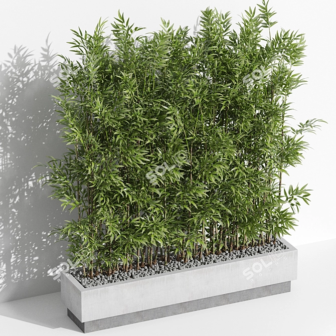 999 Plants Collection | High-Quality 3D model image 2