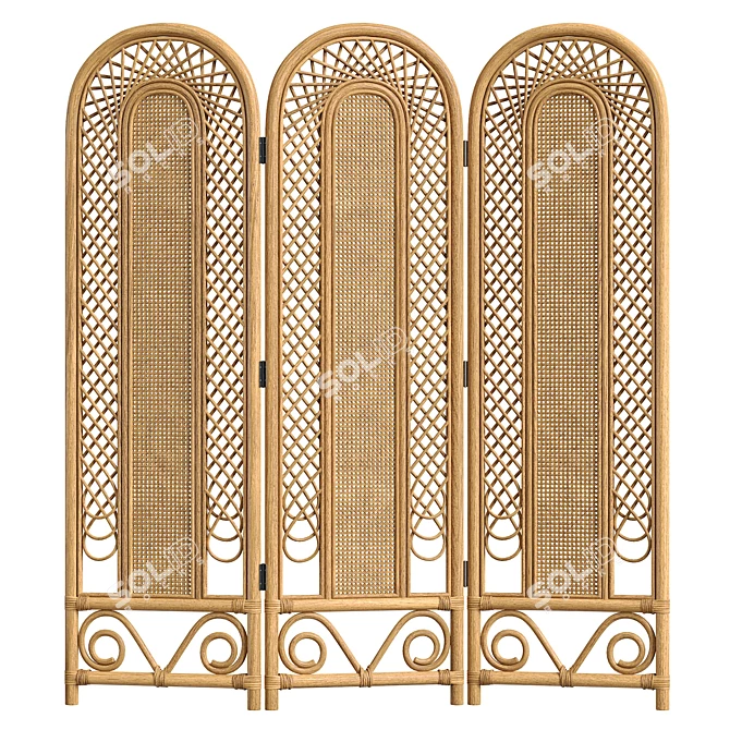 Vintage Cane Rattan Room Divider 3D model image 2