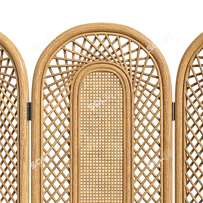 Vintage Cane Rattan Room Divider 3D model image 5