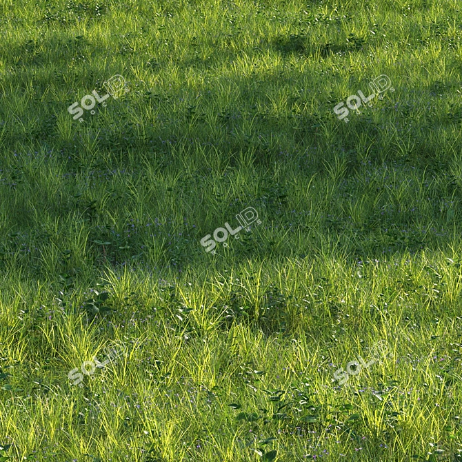 Grass Scatter Kit for Renders 3D model image 2