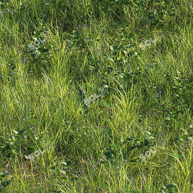 Grass Scatter Kit for Renders 3D model image 3