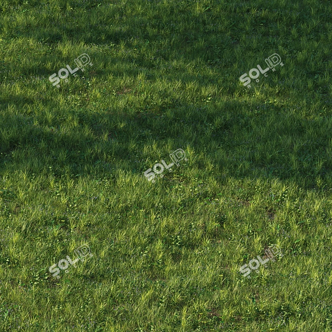 Grass Scatter Kit for Renders 3D model image 4