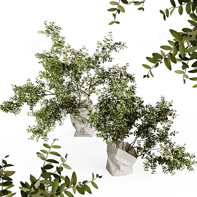 Serax Paper Bag Vase Set 3D model image 1