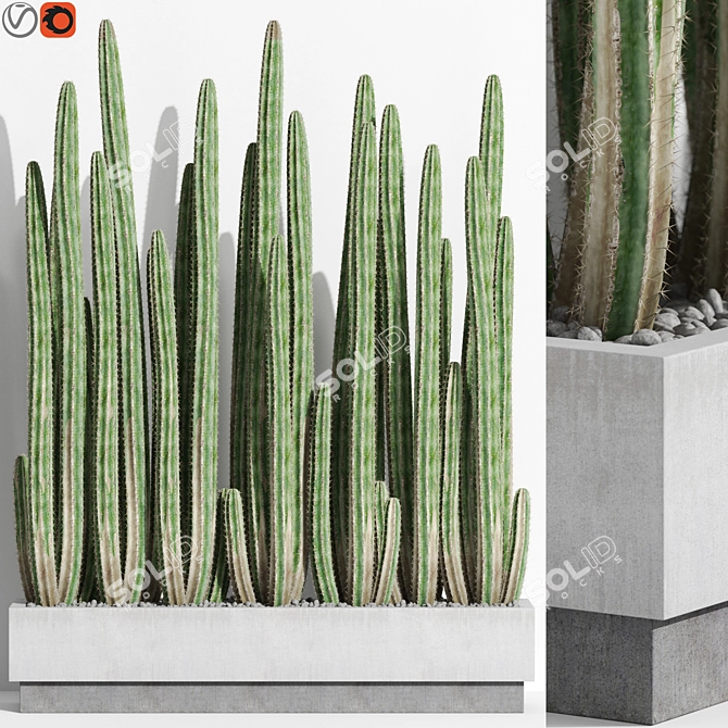 Diverse Plant Collection Bundle 3D model image 1