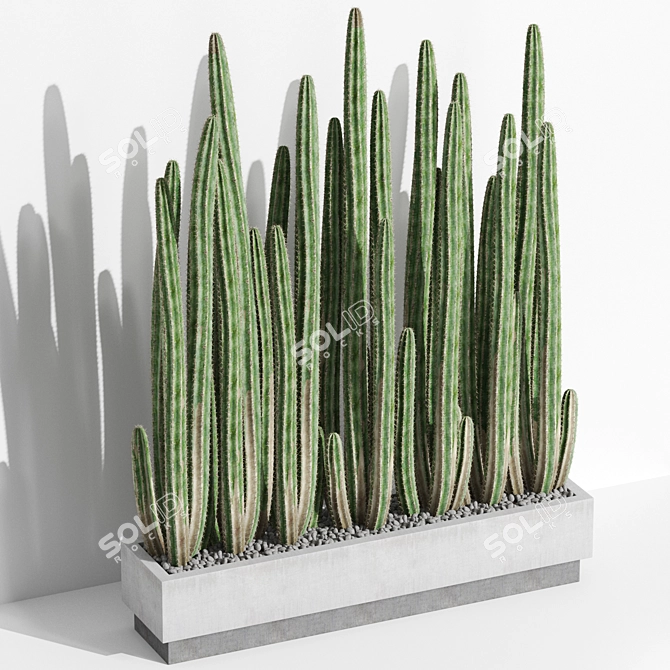 Diverse Plant Collection Bundle 3D model image 2