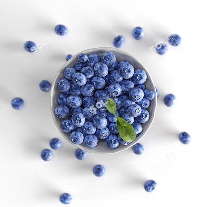 Blueberry in Ceramic Bowl 3D model image 2