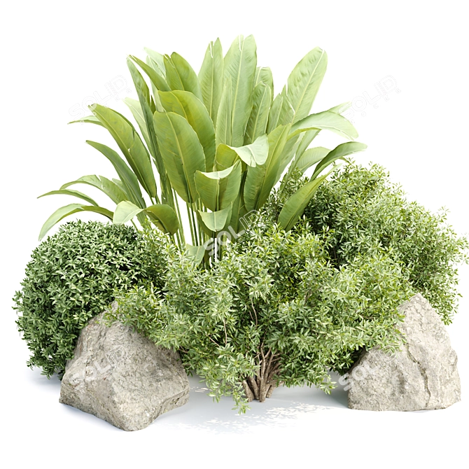 Outdoor Plants Collection Vol.233 3D model image 1