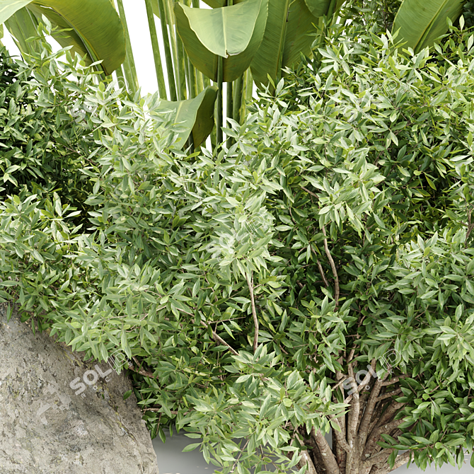 Outdoor Plants Collection Vol.233 3D model image 2