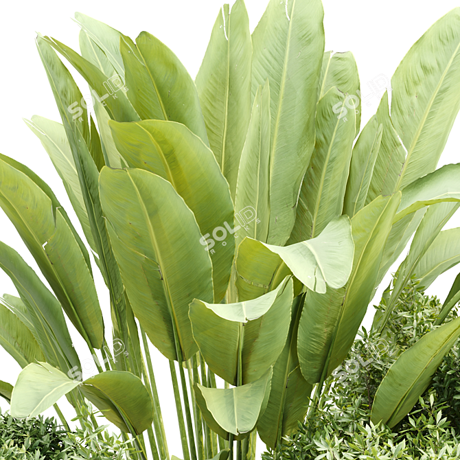 Outdoor Plants Collection Vol.233 3D model image 3