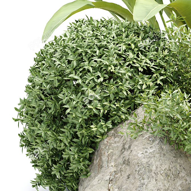 Outdoor Plants Collection Vol.233 3D model image 4