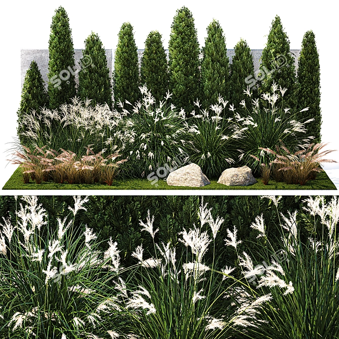 Large Plant Collection for Landscaping 3D model image 1