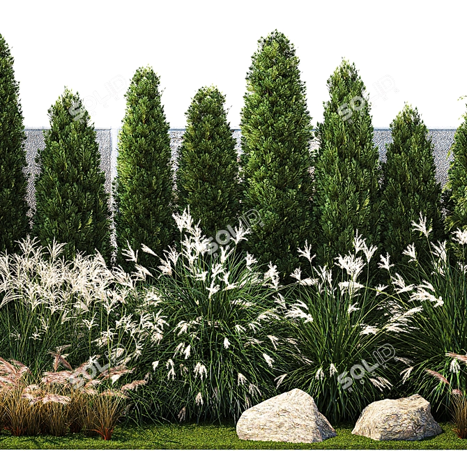 Large Plant Collection for Landscaping 3D model image 3