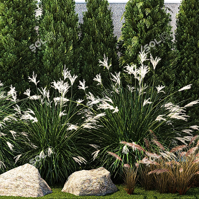 Large Plant Collection for Landscaping 3D model image 5