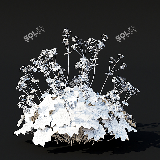 Soft Flower Cuff | Alchemilla Mollis 3D model image 5