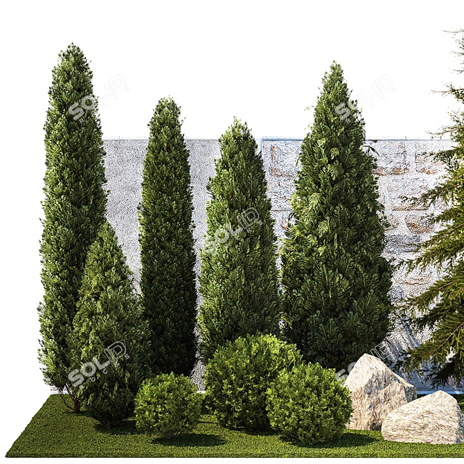 Landscaping Collection with Mature Trees & Shrubs 3D model image 2