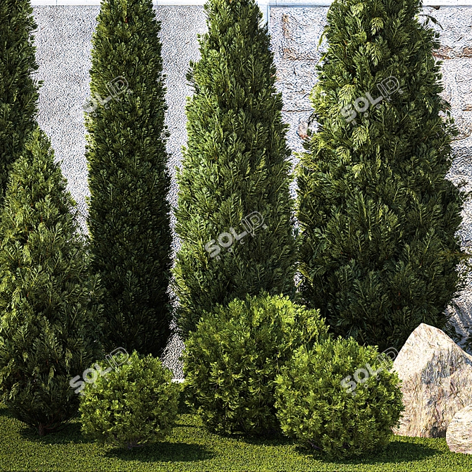 Landscaping Collection with Mature Trees & Shrubs 3D model image 4