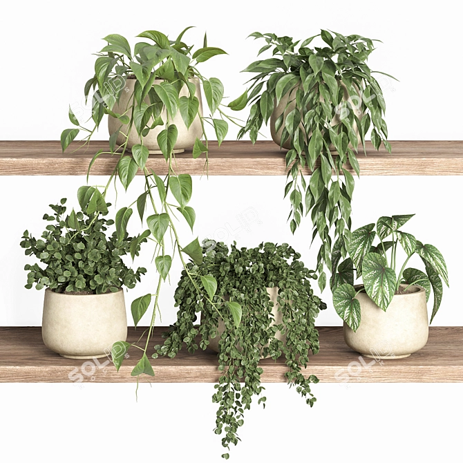 Plant Shelf Display Unit 3D model image 1