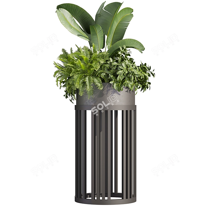 Premium Plant Collection for 3D enthusiastics 3D model image 2