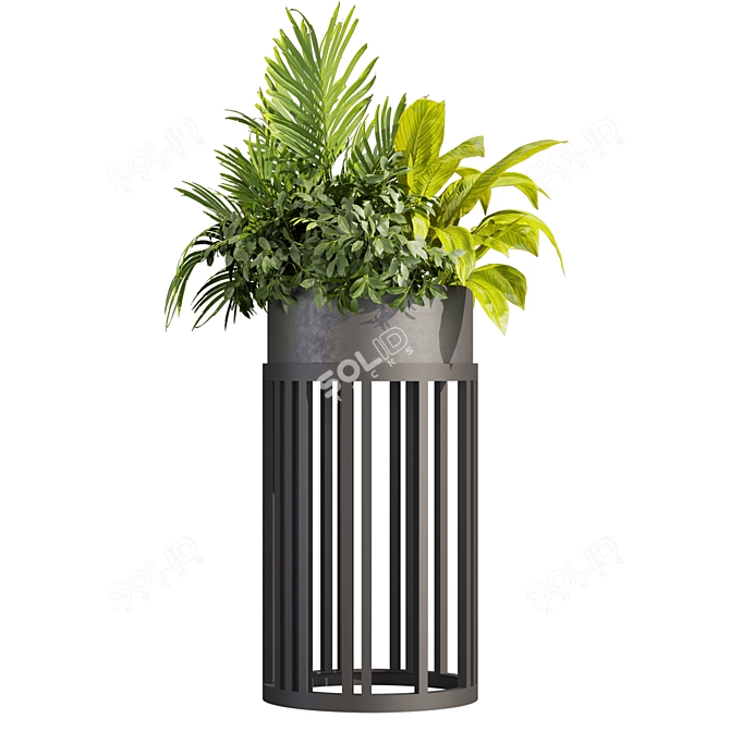 Premium Plant Collection for 3D enthusiastics 3D model image 3