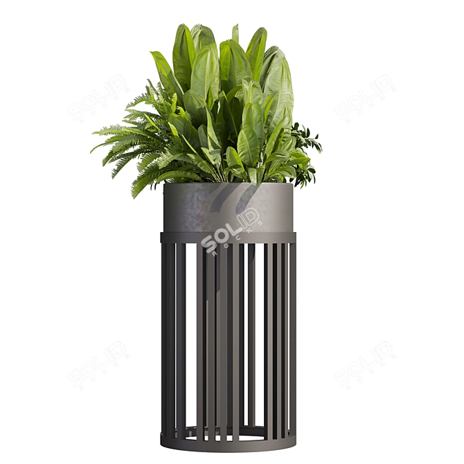 Premium Plant Collection for 3D enthusiastics 3D model image 4