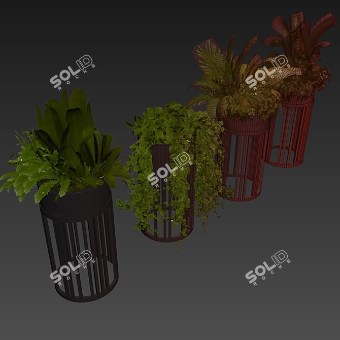 Premium Plant Collection for 3D enthusiastics 3D model image 7