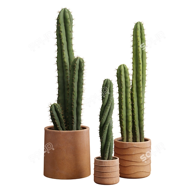 Desert Cactus Collection 3D model image 1