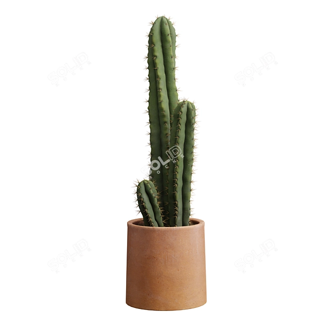 Desert Cactus Collection 3D model image 4