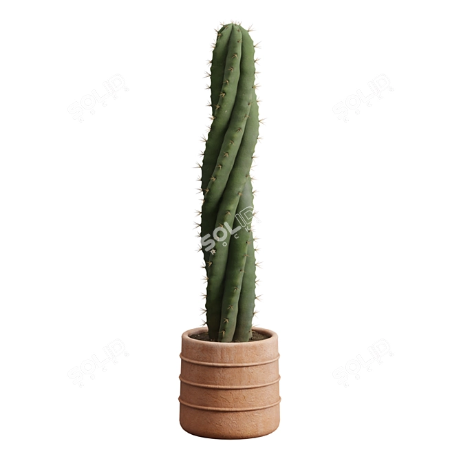 Desert Cactus Collection 3D model image 5