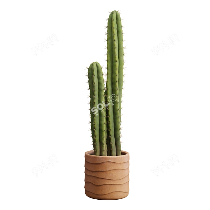 Desert Cactus Collection 3D model image 6