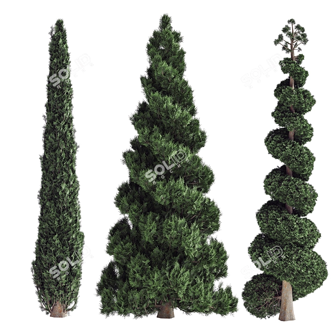 Pine Tree Set 3D Model 3D model image 1